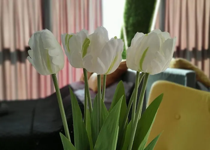 Hanza Tower - Scandia Apartment, 16 Floor, Sunset View 슈체친